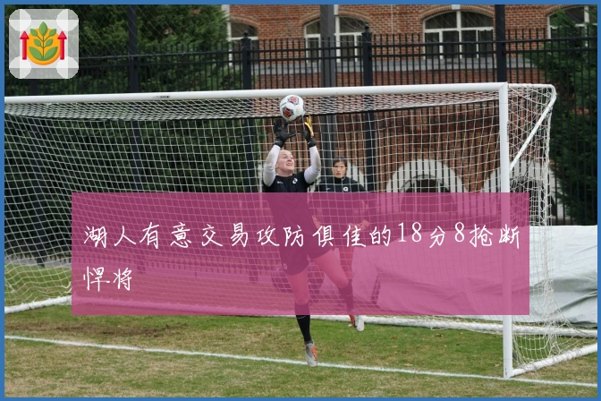 湖人有意交易攻防俱佳的18分8抢断悍将