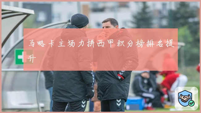 马略卡主场力拼西甲积分榜排名提升